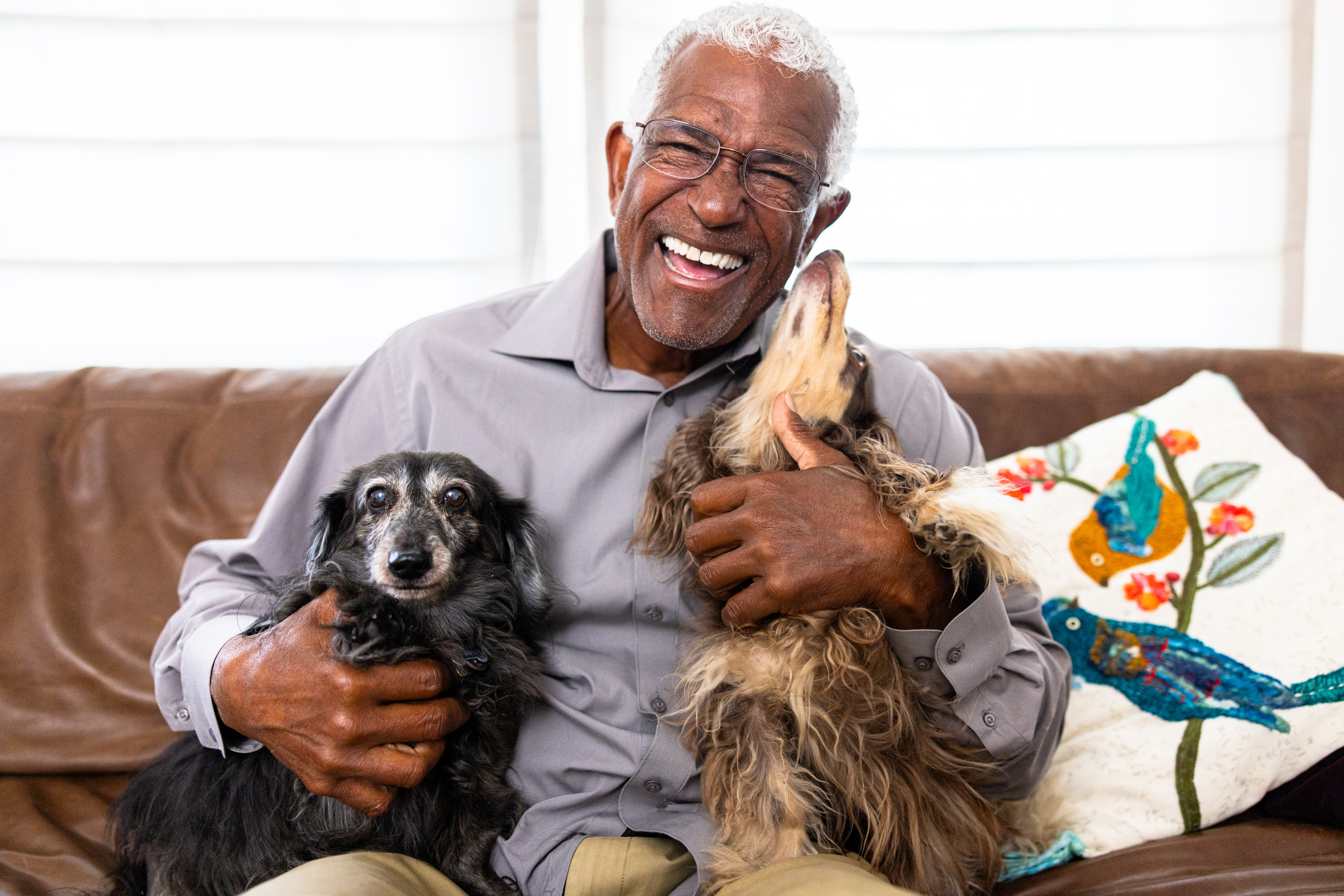 Black man playing with his dogs